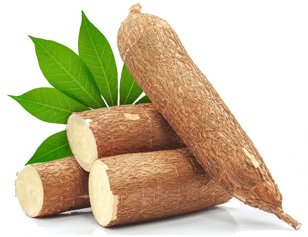 Cassava Root